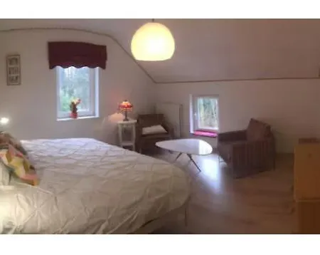 Dans Les Bois * Namur (Namen)
