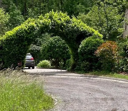 Dans Les Bois * Namur (Namen)