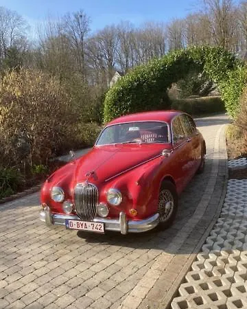 Dans Les Bois Gasthof